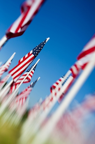 Memorial Day flags - Ocala, FL