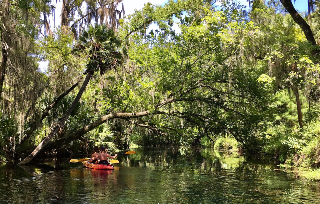 visit ocala