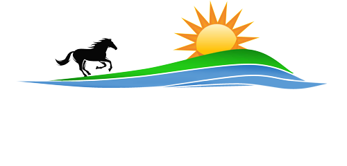 Dental Implants of Ocala logo